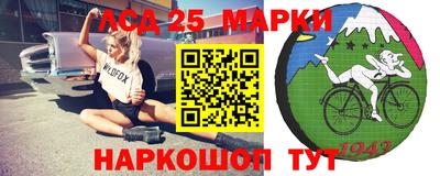 гидра Дубна