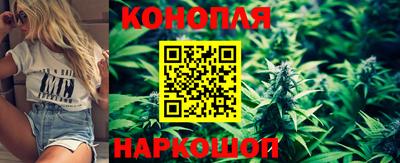 гидра Дубна