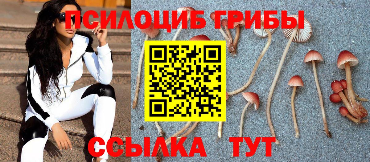 Галлюциногенные грибы мухоморы  Вход с VPN  Медногорск 